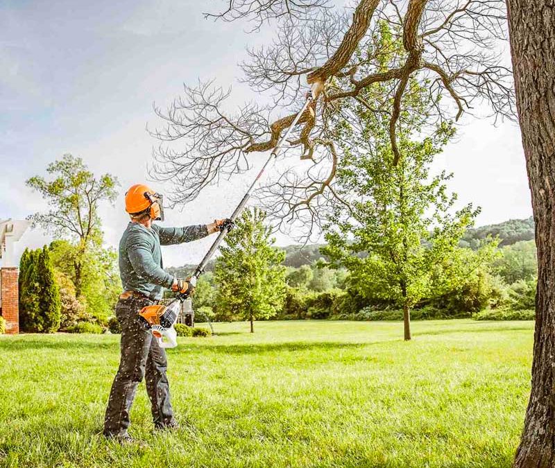 Regular Tree Service Is A Key Component In Storm Damage Prevention