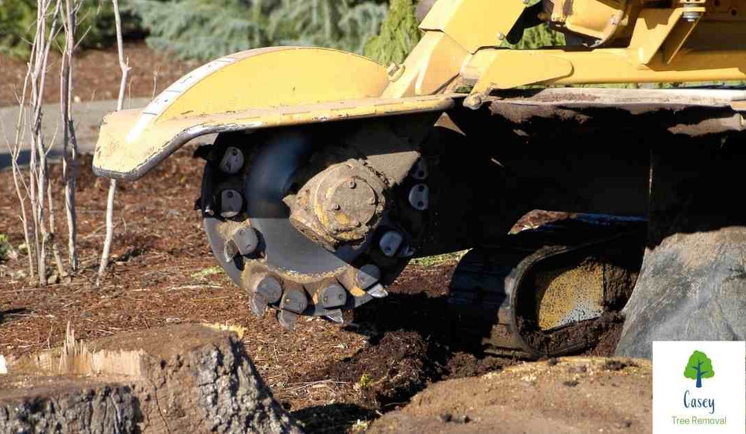 The Benefits of Stump Grinding