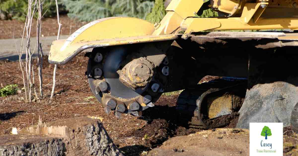 The Benefits of Stump Grinding