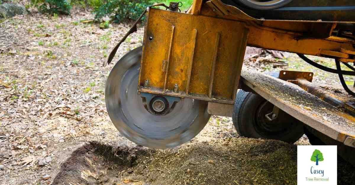 What Is Stump Grinding