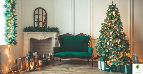 How to Take Care of a Live Christmas Tree