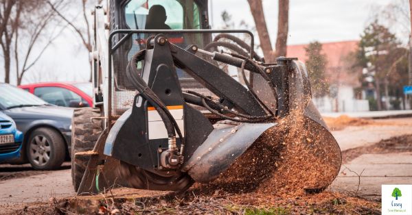 The Benefits of Professional Tree Stump Removal