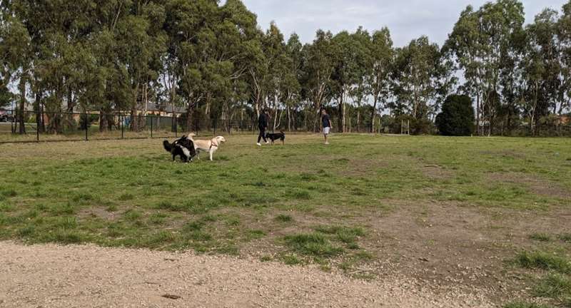 Seebeck Drive Reserve Dog Park