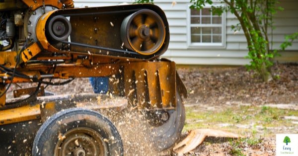 Stump Grinding Services in Melbourne – Say Goodbye to Unsightly Stumps