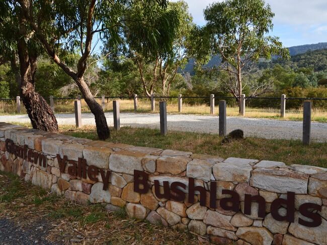 Glenfern Valley Bushlands