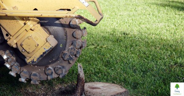 Casey’s Stump Grinding Pros: Transforming Your Landscape