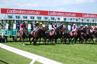 Ladbrokes Park