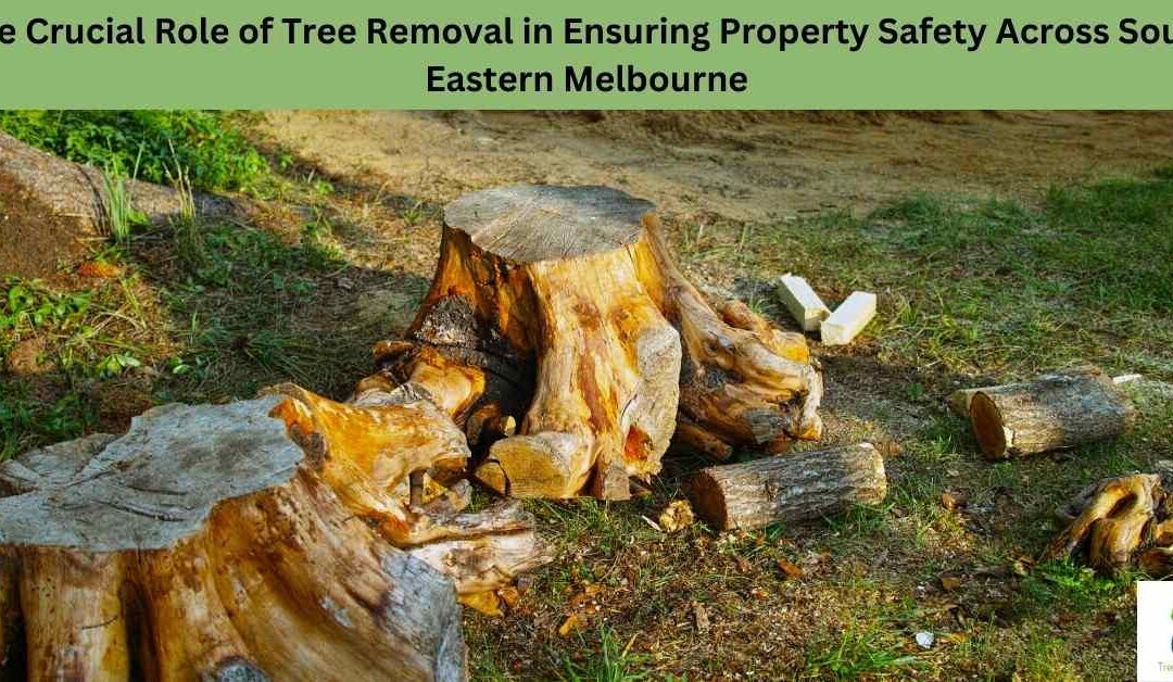 The Crucial Role of Tree Removal in Ensuring Property Safety Across South Eastern Melbourne