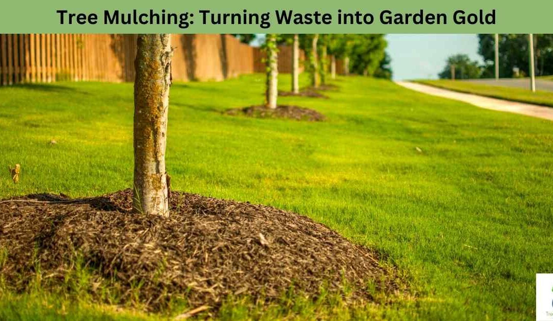 Tree Mulching: Turning Waste into Garden Gold